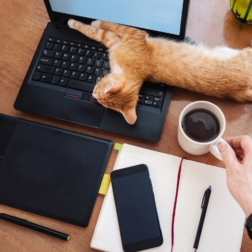 Sicher im Homeoffice arbeiten mit dem Cloud-Arbeitsplatz der HoamatCloud